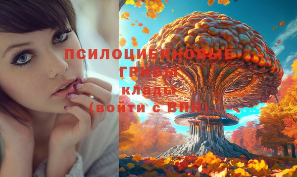 дмт Кодинск