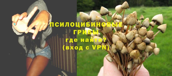 apvp Козельск