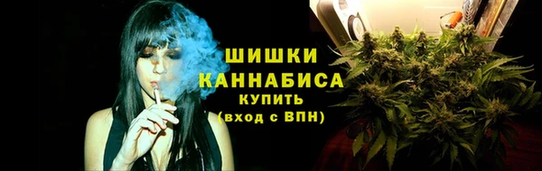 дмт Кодинск