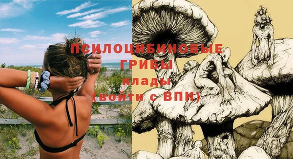 apvp Козельск