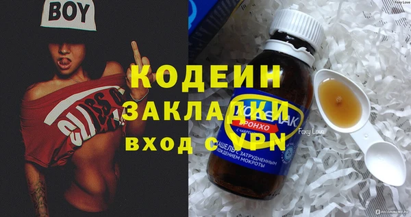 дмт Кодинск