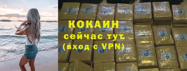дмт Кодинск