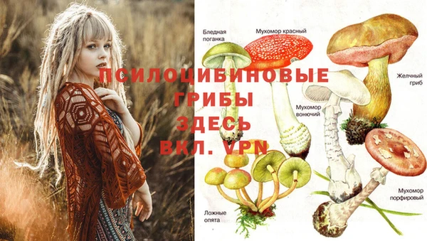 кокаин Козловка