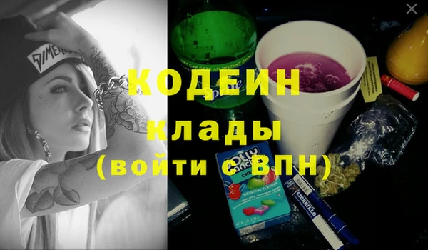 дмт Кодинск