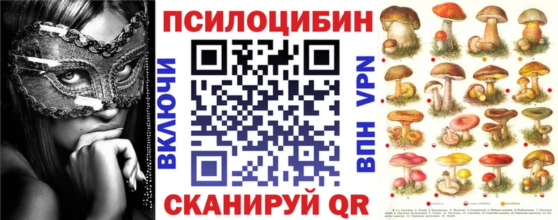 Купить где  Калининград  Галлюциногенные грибы мицелий 